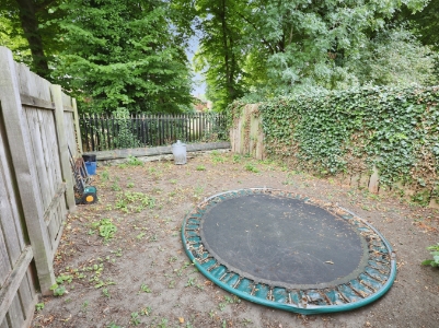Picture 14